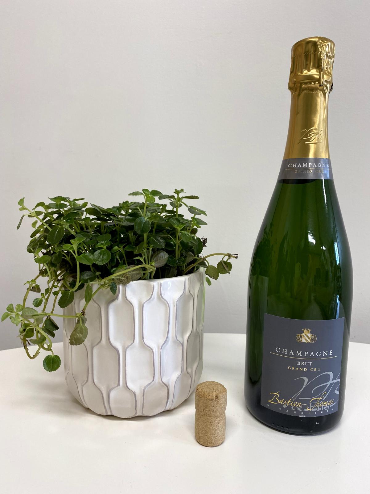 Champagne Pierre Boever Brut